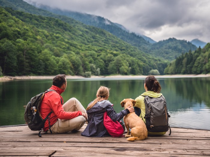 Family-friendly wildlife watching trips