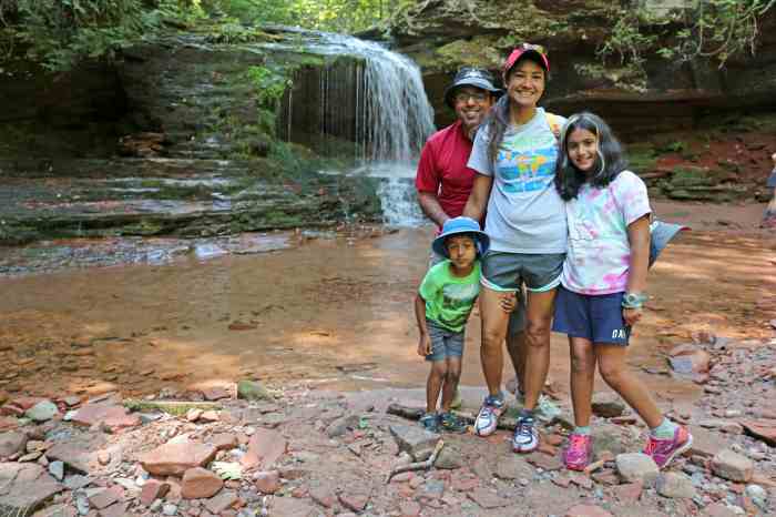 Family-friendly wildlife watching trips