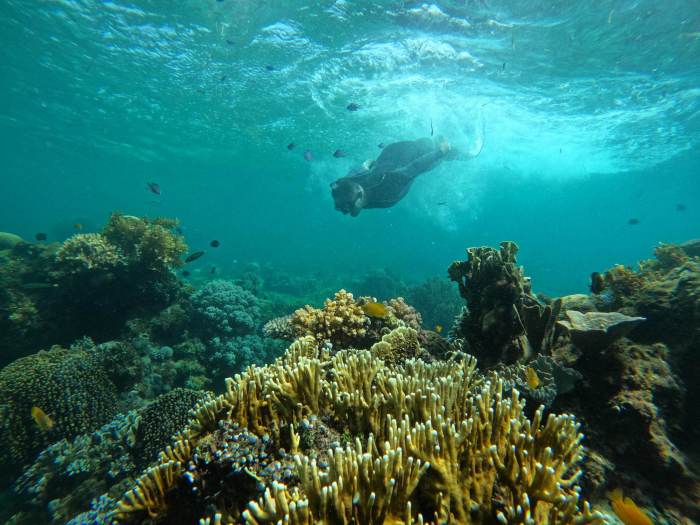 Budget island hopping trips