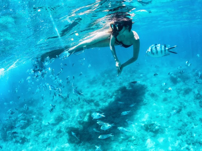 Snorkel snorkeling